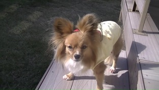 ソラの嫌いな言葉