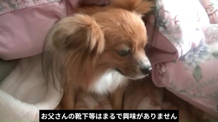 ソラの好きな匂い