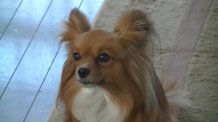 久しぶりのソラ